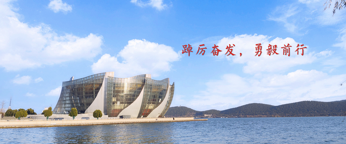 踔厉奋发，勇毅前行